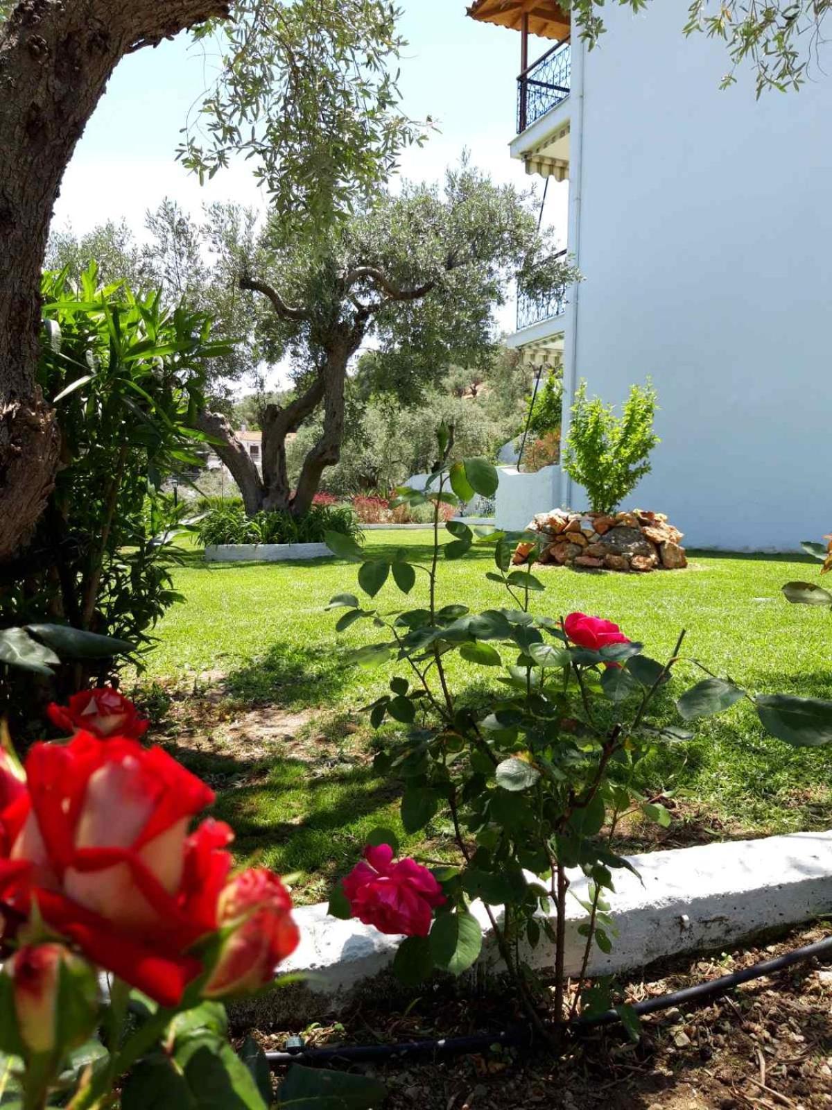Olive Grove Studios เมกาลีอัมโมส ภายนอก รูปภาพ